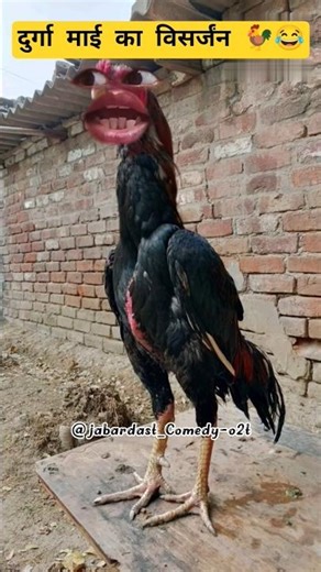 दुर्गा माई का विसर्जंन 🐓😂 #funny #thetharpuns #comedy #shilpisaroja #shorts