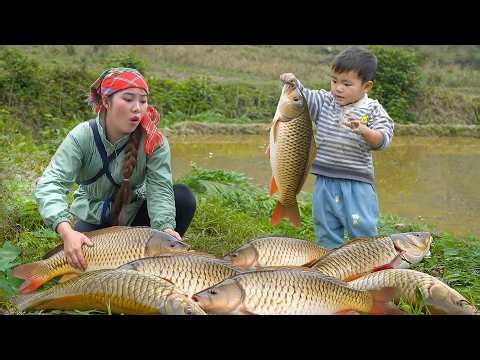 Field Fish at Fattest Peak | Duong & Khoi Drain Field and Catch School of Giant Fish | Village Life