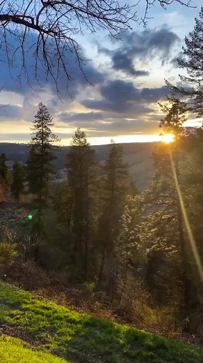 Are you a Modern Rural Civilian? •Join us as we homestead our raw acreage in Idaho, making old ways new again, and incorporating new technologies into time tested traditions.. We’re Modern Rural Civilians.. •Time Traveler•It’s better to be a warrior in a garden than to be a gardener in a war.•#mylife #freedom #tinyhome #gratitude #fyp #hotspring #garden #acreage#livestockguardiandog #upcycle #repurpose #vintage #foodie #2A #homestead #offgrid #mountain #home #idaho #charmedlife #carpediem #diy #