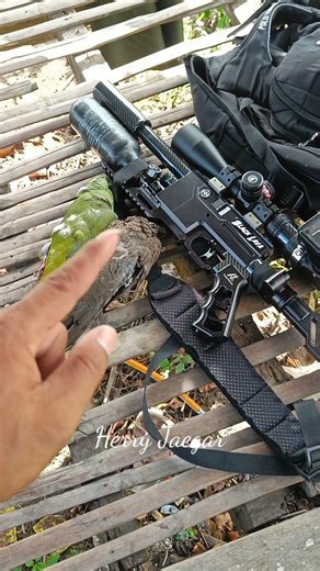 Black Lava Point 20cm Barrel, close range only