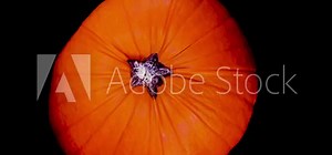 Pumpkins of different kinds. Stop motion animation with pumpkins of different colors and shapes. Colorful autumn, thanksgiving and halloween concept.