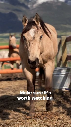 169K views · 5.8K reactions | Blind Hope was on the brink of death...