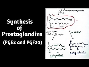 Synthesis of Prostaglandins