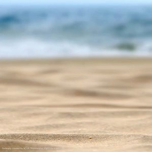 33K views · 23 reactions | Earn more by bundling Go Green Checking with a Go Green Money Market. It’s a one-way ticket to better banking! | Coastal Credit Union | Facebook