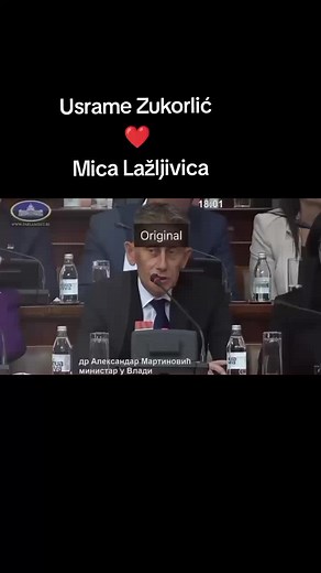 Budi ti čuvar on TikTok