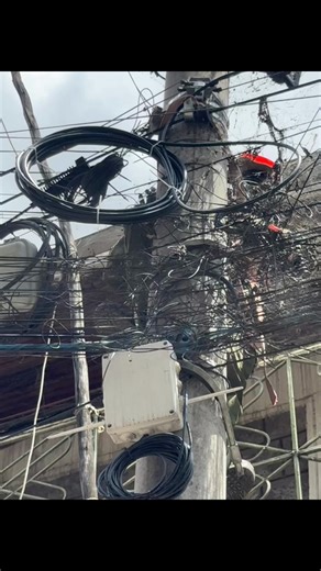 Uncompromising Standards in Performance