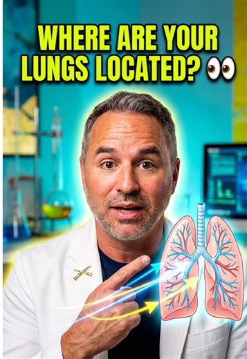 Where are your lungs located? How does the diaphragm work when you breathe? 🤔 Learn about the dome-shaped muscle that helps your lungs expand and contract! #lunghealth #respiratory #diaphragm #anatomy #didyouknowfacts