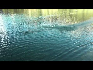 Fei-Lun FT009 in le revest les eaux