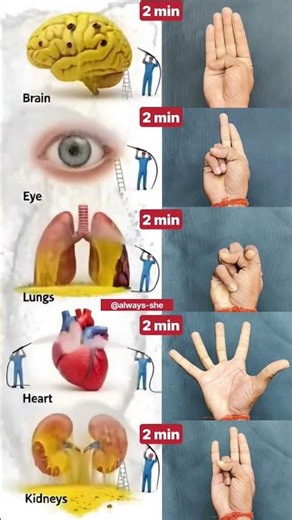 Daily Mudra #brain #eye #lungs #heart #kidney #shorts #mudra #yoga #trending #ytshorts #foryou #100