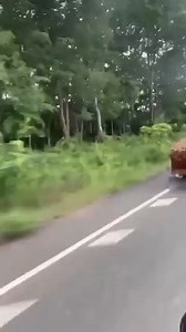 1M views · 550 reactions | Creative worker work easy as the way they live CHH 18 | YAW TOGS | Facebook