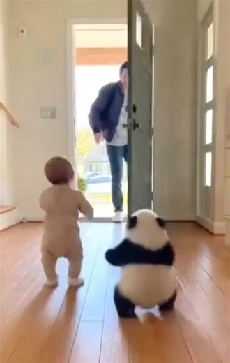 🥰🥰🥰🥰🥰 | Pandas, a Light In My Heart