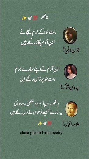 Bint-e-Hawa k narm lehje ne #shayari #deepwords #urdushayari #urdupoetry #heart #urdushairy #deep