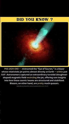 Blazar Jets and the Mystery of Magnetic Perfection