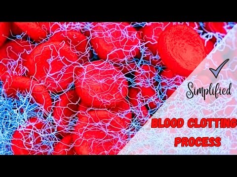 How Platelets Bring about BLOOD CLOTTING I KCSE Biology Form 2