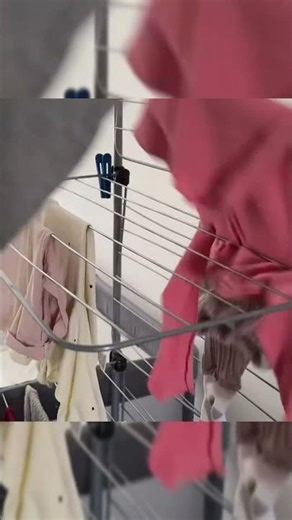 ASMR Daily Cleaning Routine | Relaxing Sounds & Sparkling Home #asmr #shorts #timer