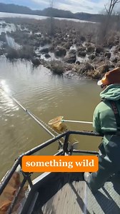 278K views · 2K reactions | We’re not your average government agency…...