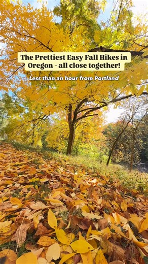 Don’t miss these easy fall hikes near Portland - you can see all these stunning waterfalls in just half a day, and they’re only a short drive apart. We hiked these waterfalls on October 19th, and you’ll likely catch even more fall colors around this time. 🚗 Starting point: Portland, OR (Approx. 30–40 min drive (27 miles) to the first stop) 1️⃣ Latourell Falls 📍 Guy W. Talbot State Park, Corbett, OR 🕓 Drive from Portland: ~35 min 🥾 Trail: Lower Falls Viewpoint (1 mile RT) or full loop (2.4 mi