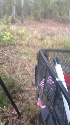 My deer call!!!💯💯 Works every time!!! #deer#hunting#outdoors#nature#daddysgirl#family#loveher#classic#fishingandhunting#fb#instagram #reels#follow | Fishing with Davo