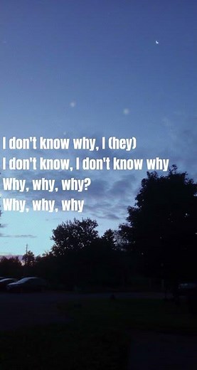 Why why why - Shawn Mendes (Lyrics)