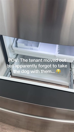 Dog Left in Freezer During Move-Out? Rental Cleaning Rescue
