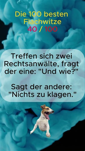 Flachwitz 40 von 100