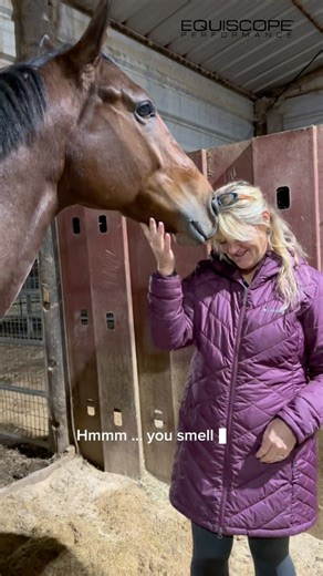 When your horse knows exactly what’s on the protocol menu… and orders with confidence. 💅🐎⚡️ Peppermint. Rosemary. A bilateral spinal. Because when the body recognizes support, it doesn’t hesitate — it relaxes, responds, and melts into the process. Sound body. Happy horse. That’s the Equiscope difference. Thank you @andrade_charity #EquiscopePerformance #EquiscopeLife #HorseApproved #ProtocolReady #PeppermintAndProtocols #SoundBodyHappyHorse #EquineWellness #MicrocurrentForHorses #HorseCareProf
