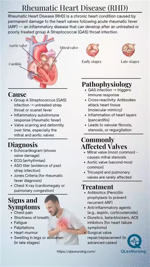 🫀 Rheumatic Heart Disease (RHD) might start with a sore throat—but it can end in lifelong valve damage if left untreated. Know the signs. Know the risks. Know the care. 💡 Perfect for your cardio review or quick study before clinicals! #rhd #nclexprep #nursingstudentlife #hearthealth #qlexnursing #medsurgnursing #nursingschooltips #studywithus #nurseinprogress #futurern #rn #lpn #atiteas #hesia2exam #nursingstudent | QLexNursing