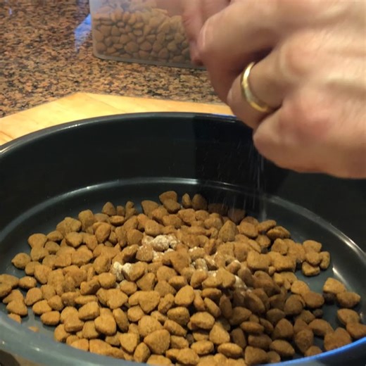 Watch VetSmart Formulas Dog Probiotics Supplement | 2 on Amazon Live