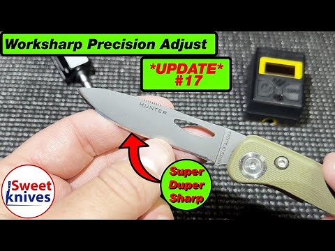 Sharpen like a Pro: Mastering D2 Steel with Work Sharp Precision Adjust