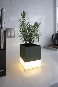 Modern Planter Lamp – 2-in-1 Decorative Plant Pot With Built-in Light Base - Etsy