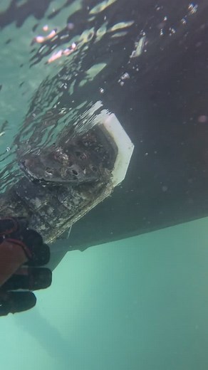 Boat Bottom Cleaning Service 786 698 7220 Miami Beach #boatmaintenance #hullboatdivers #boatbottomcleaning | Hullboatdivers.com