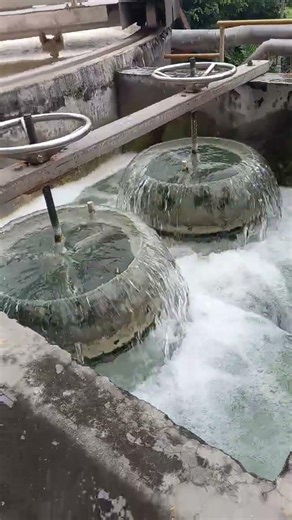 Dissolved air Flotation system.