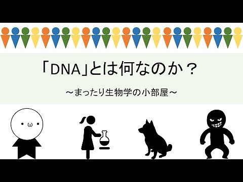 【まったり生物学】DNAとは何かをまったり解説！