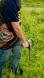 9.3K views · 147 reactions | Gold flux scanner pinpointer | Kanji Kin | Facebook