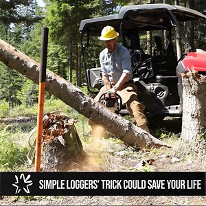 1.2M views · 2K reactions | How To Safely Take Down A Hanger Tree Using a Log & A Strap | Wranglerstar | Facebook