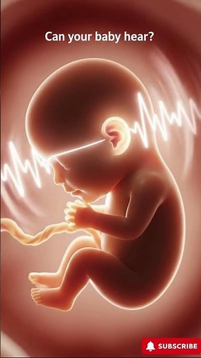 Baby Hearing Development in the Womb | Pregnancy Week by Week