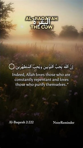 A believer falls🥀, repents✨, and rises again🌹.| Al-Baqarah 2:222 | #islamicvideo #faithinallah #dua