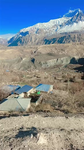 Understanding the Impact of Social Media Influence