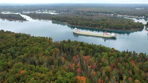 20K views · 975 reactions | Happy Freighter Friday! Captured the awesome looking Alpena downbound at Rotary Park a couple days ago! Captain gave us a nice salute too! Have a great weekend! | I Love Sault Ste. Marie, Michigan | Facebook