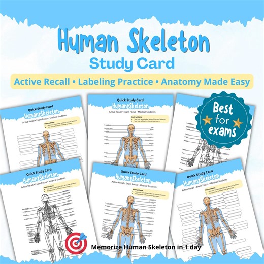 Human Skeleton Anatomy Worksheet | Anatomy Labeling Worksheet | Anatomy Study Guide PDF | Skeleton Practice Printable - Etsy