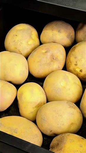 How to Make Crunchy Potato-Filled Pasta Snacks | ASMR Cooking