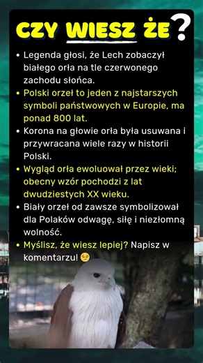 Dlaczego polski orzeł jest biały? Powód cię zadziwi!