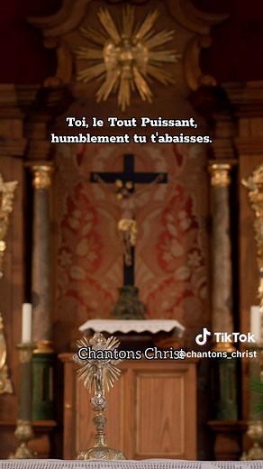 Tu fais ta demeure en nous Seigneur #tufaistademeureennousseigneur #christ #chantchatholique #communion