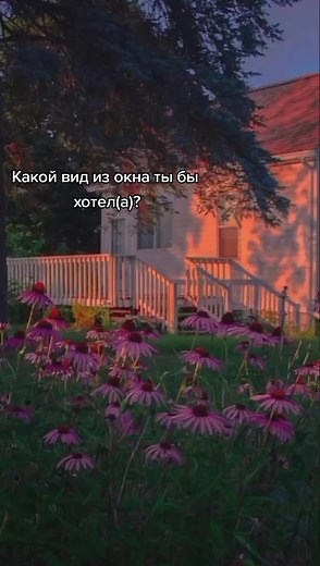 Scenic Views: Nature Through My Window