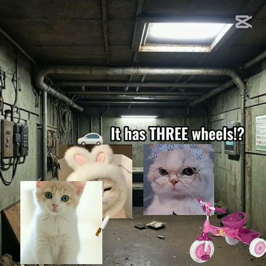 😂😂😂😂😂😂😂😂😂😂