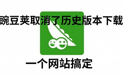 安卓历史版本软件怎么下载？