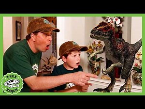 Baby Dinosaur In Our House! Classic DINO Special | 40 Mins | 🦖🦕 T-Rex Ranch Dinosaur Videos
