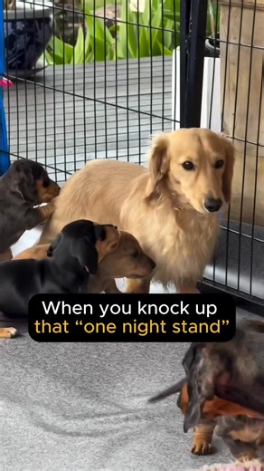 19K views · 795 reactions | POV: When your “one night stand” turns into 18 years of responsibility  You thought you were just vibing... now you’re Googling baby names. Comment down below if you know someone this would absolutelyhappen to  | Modern Success: Men Advice | Facebook