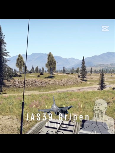 Emotional Moments with Cats in War Thunder