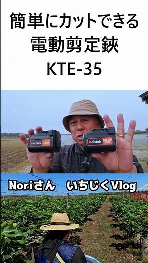 #いちじく #剪定鋏 #イチジク